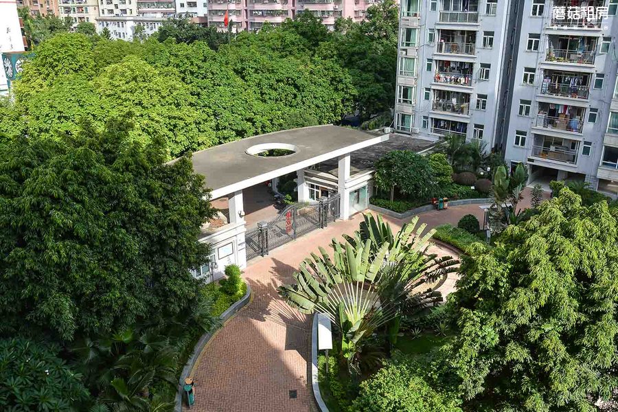 合租-福田区-凯欣园-七居室-东卧-roome-20.0㎡