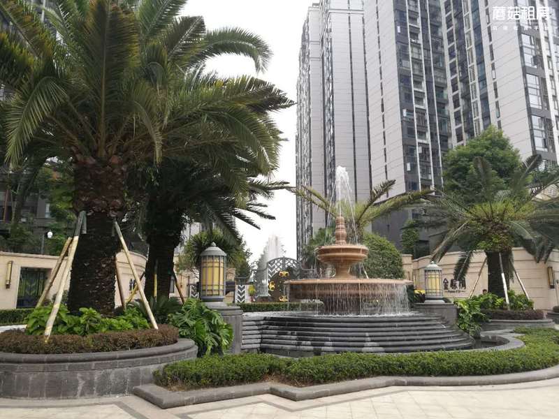 合租-双流区-戛纳湾金棕榈-四居室-西南卧-roomc-22.0㎡