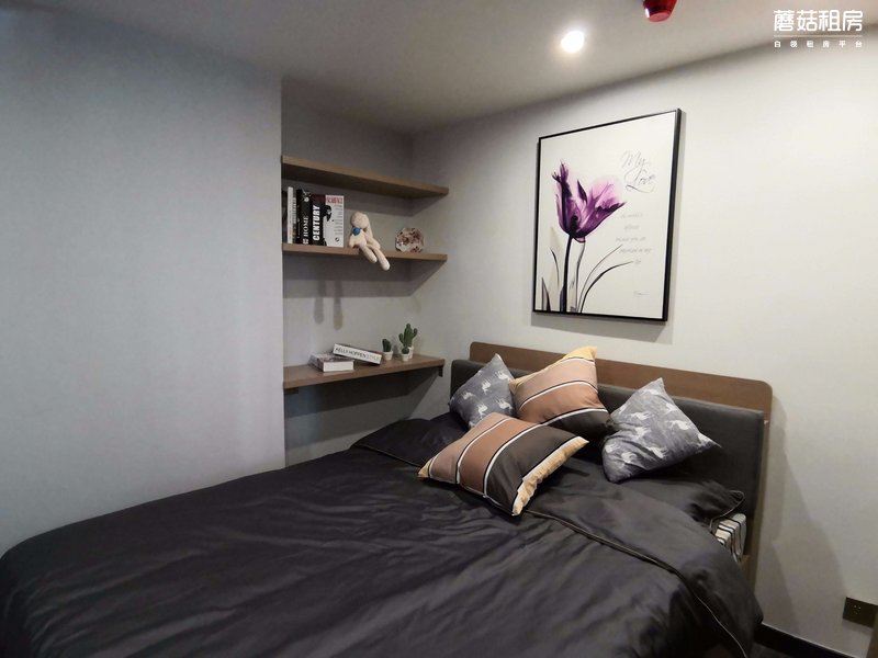 独栋公寓-宝安区-摩尔轻奢公寓-固戍店-1室1厅1卫-22.
