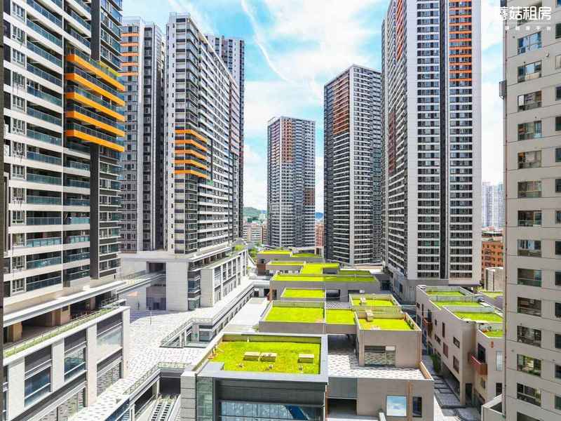 罗湖区-深业东岭花园一期