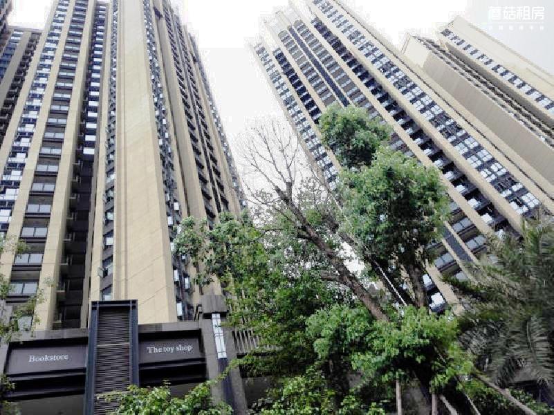 宝安区-幸福城二期